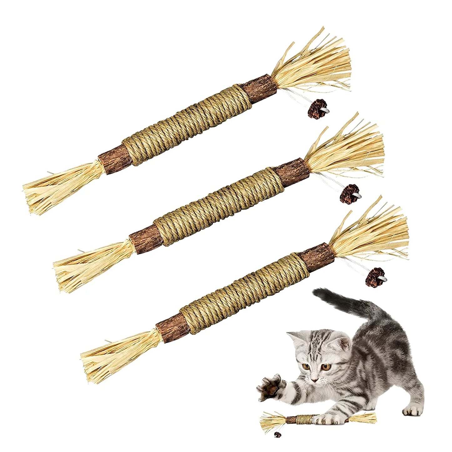 Natural Silvervine Sticks for Cats, Catnip Sticks Matatabi Chew Sticks Teeth Molar for Cat Kitten Kitty Teeth Cleaning