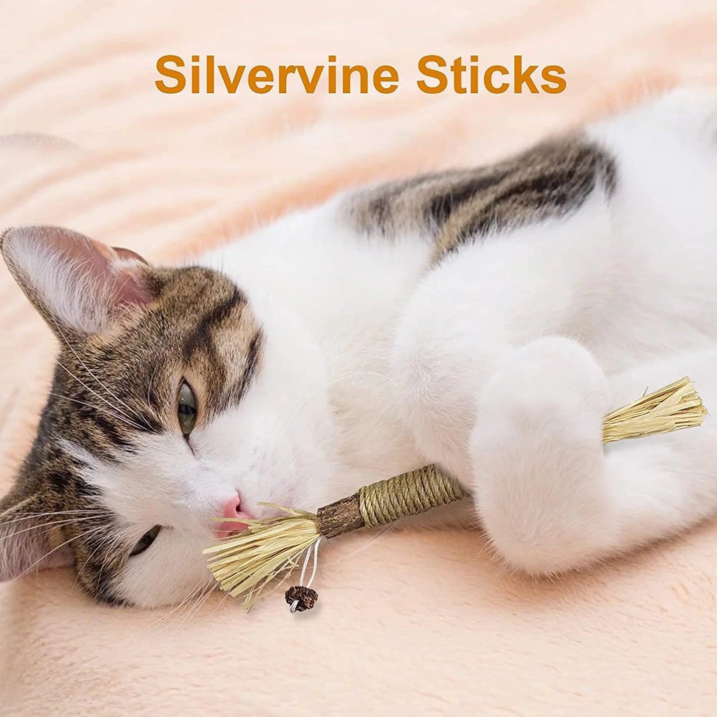 Natural Silvervine Sticks for Cats, Catnip Sticks Matatabi Chew Sticks Teeth Molar for Cat Kitten Kitty Teeth Cleaning