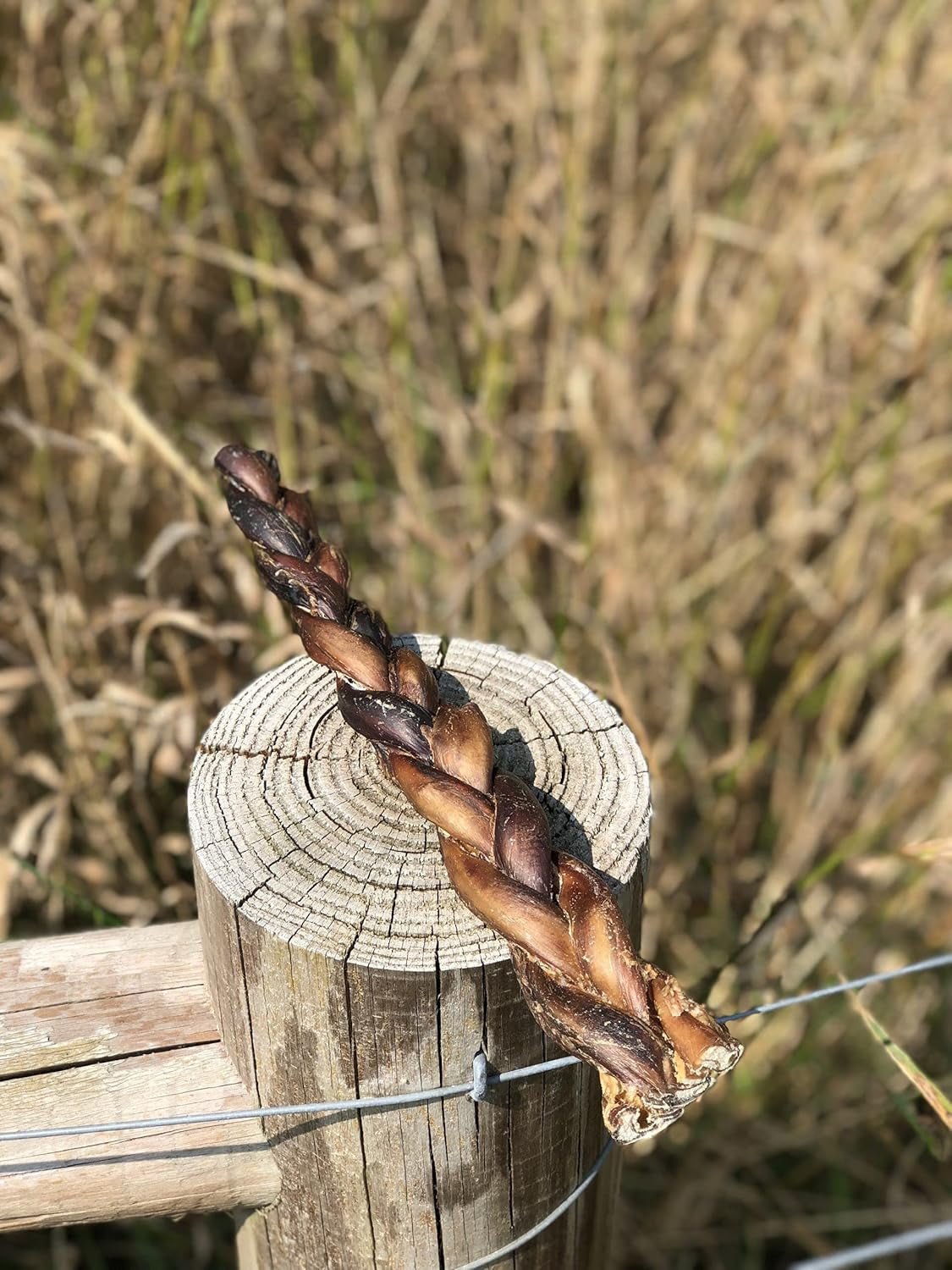 Free Range 12" Jumbo Thick Bully Stick Treat (4 Pack) (Beef)