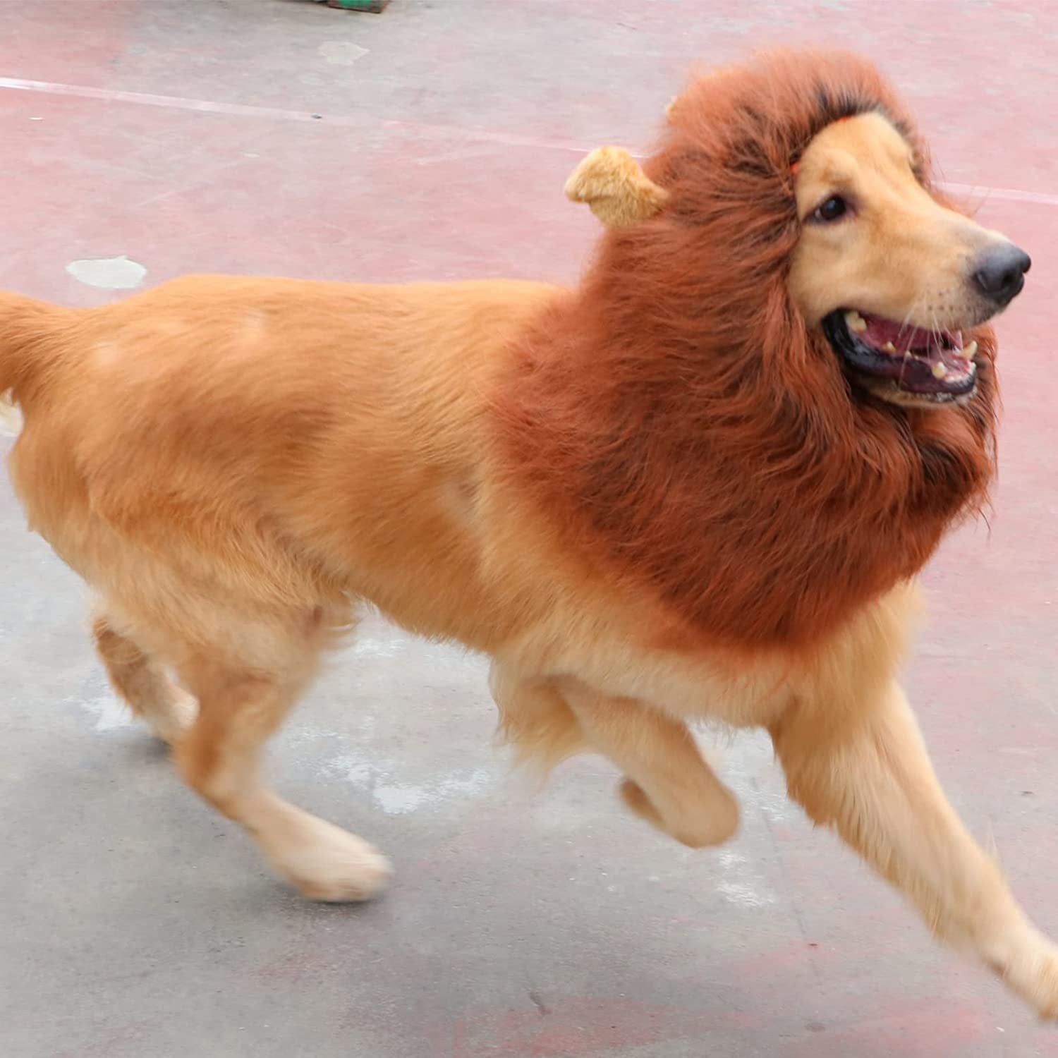 Lion Mane for Dog Costumes, Dog Lion Mane, Realistic Lion Wig for Medium to Large Sized Dogs, Large Dog Halloween Costumes, Lion Mane for Dog, Halloween Costumes for Dogs (Dark Brown)