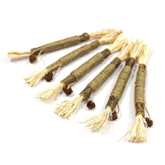 Natural Silvervine Sticks for Cats, Catnip Sticks Matatabi Chew Sticks Teeth Molar for Cat Kitten Kitty Teeth Cleaning