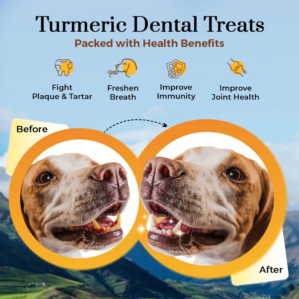 DC-MT-JB-2-FBA Himalayan Turmeric Dog Chews - Medium - 2 Lbs