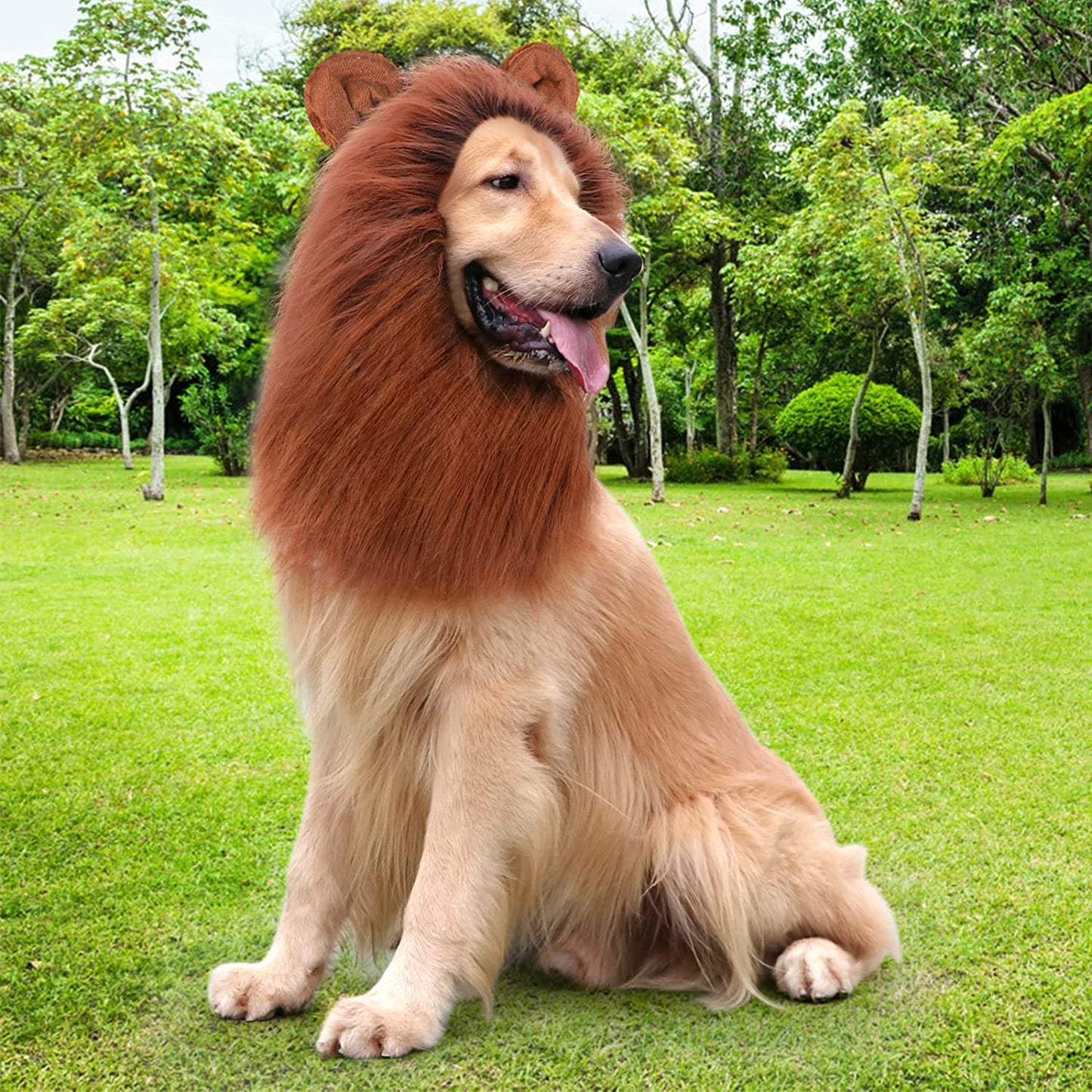 Lion Mane for Dog Costumes, Dog Lion Mane, Realistic Lion Wig for Medium to Large Sized Dogs, Large Dog Halloween Costumes, Lion Mane for Dog, Halloween Costumes for Dogs (Dark Brown)