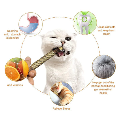 Natural Silvervine Sticks for Cats, Catnip Sticks Matatabi Chew Sticks Teeth Molar for Cat Kitten Kitty Teeth Cleaning